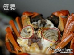 姿势贴:吃货教程：正确吃螃蟹
